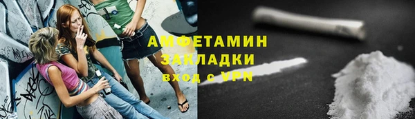 прущие грибы Богородицк