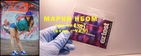 гашик Богданович