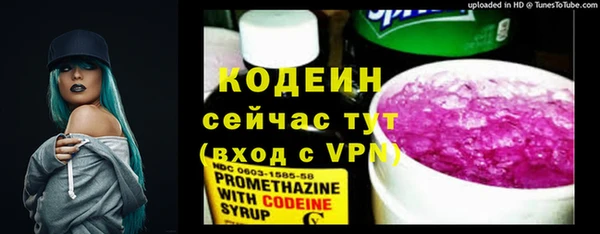 прущие грибы Богородицк