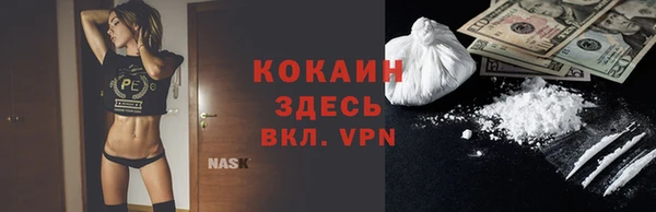 гашик Богданович