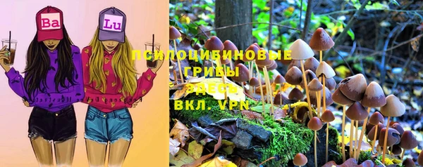 гашик Богданович