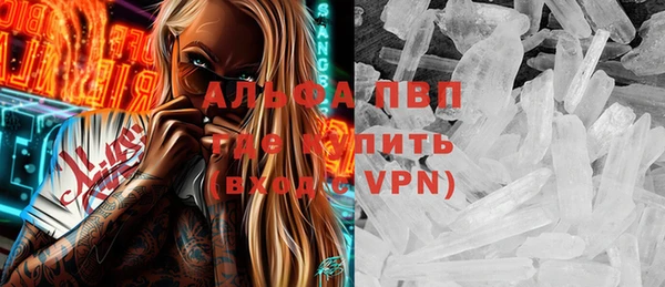 гашик Богданович