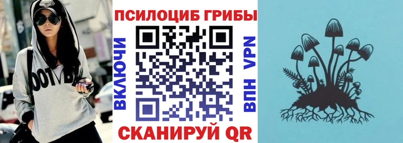 Галлюциногенные грибы Psilocybe Среднеуральск